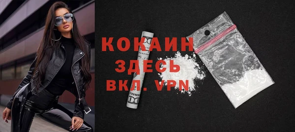 дживик Алексин