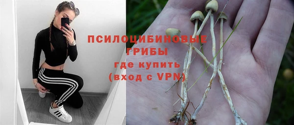 прущий лед Алзамай