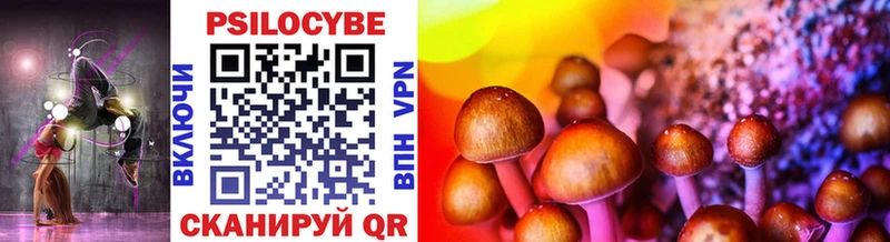 Галлюциногенные грибы Magic Shrooms  где купить наркотик  Павловская 